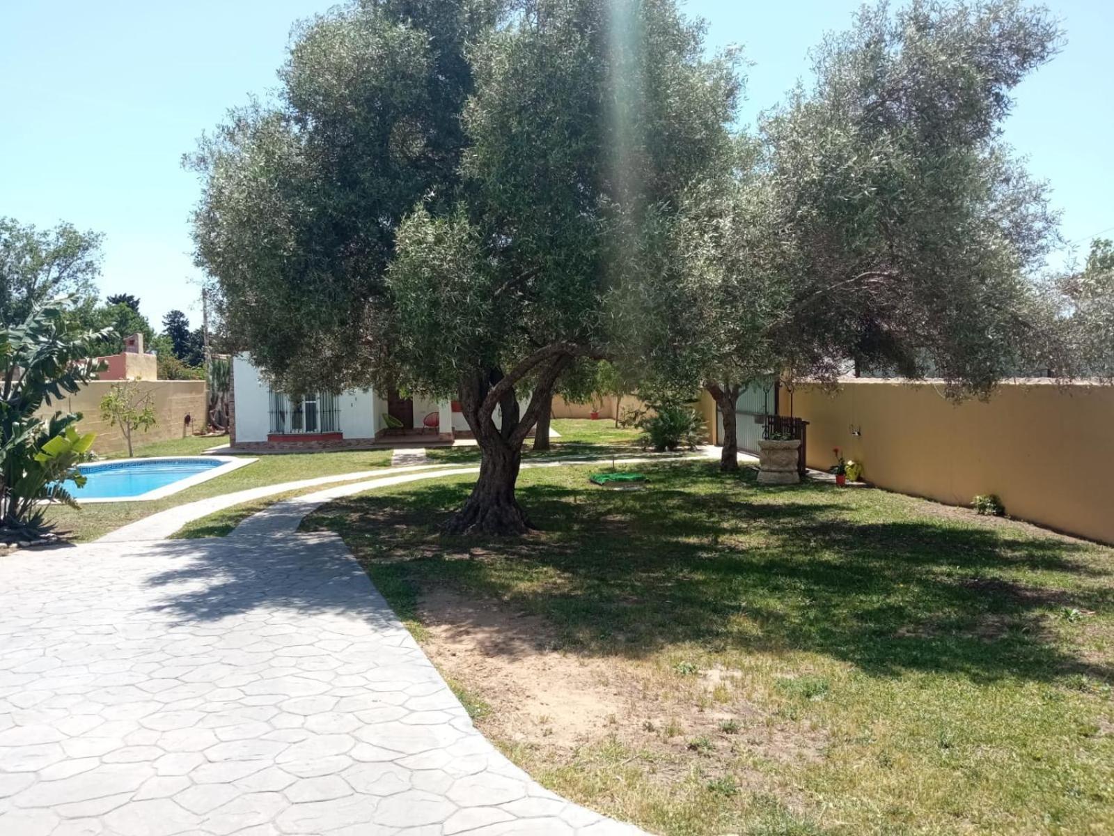 Chalet Pura Vida Chiclana de la Frontera Extérieur photo